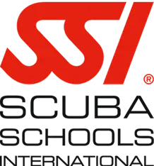 Logo of SSI International