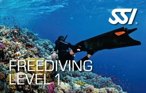 SSI Freediving Level 1
