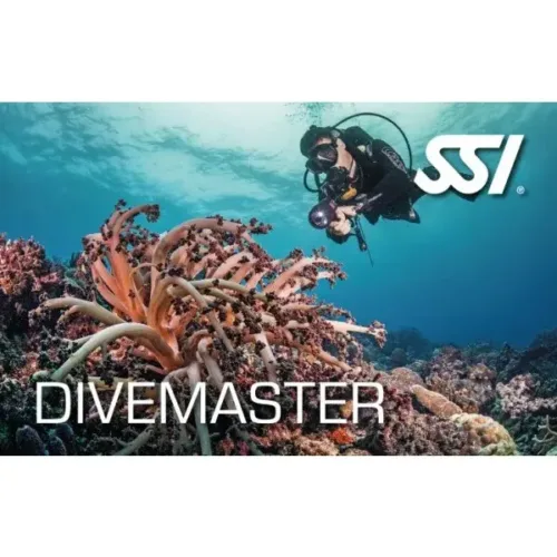SSI Dive Guide & Dive Master Kurs