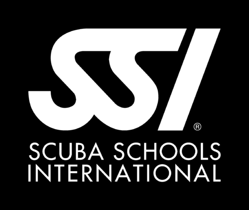 SSI Referral Diver Kurs