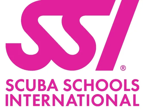 SSI Photo & Video Kurs