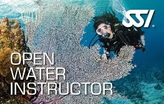 SSI Instructor Training Course